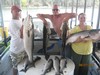(08/27/2017) - Nice Striped Bass